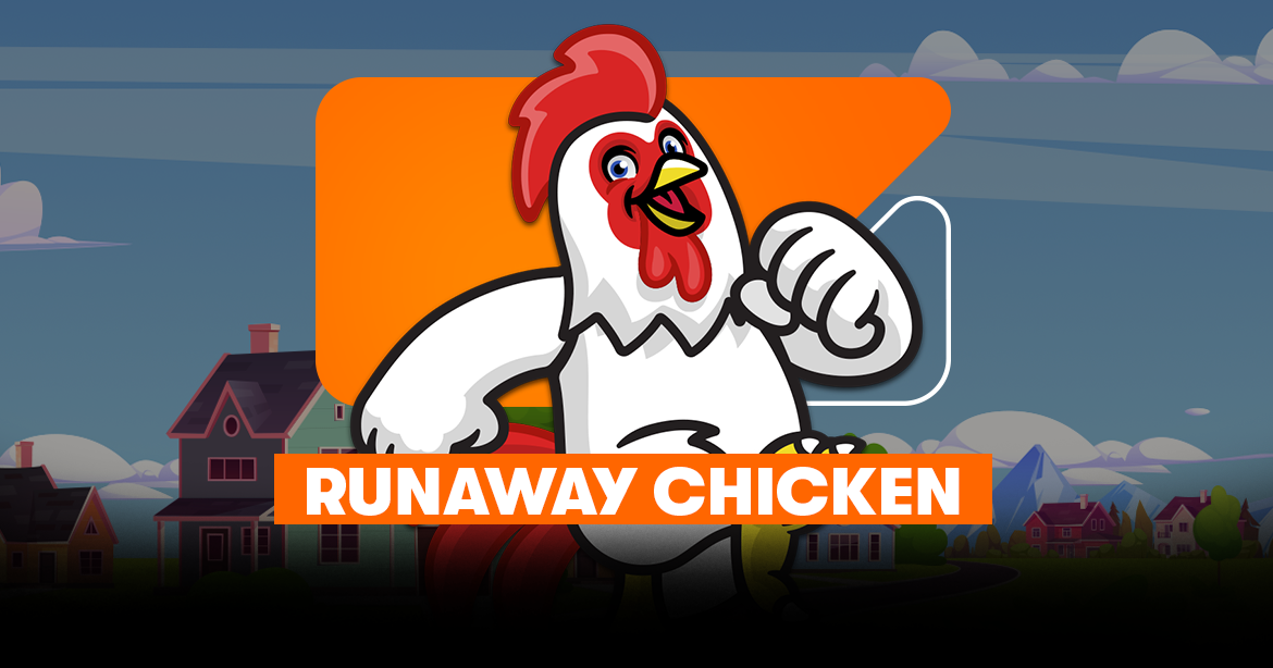 runaway chicken